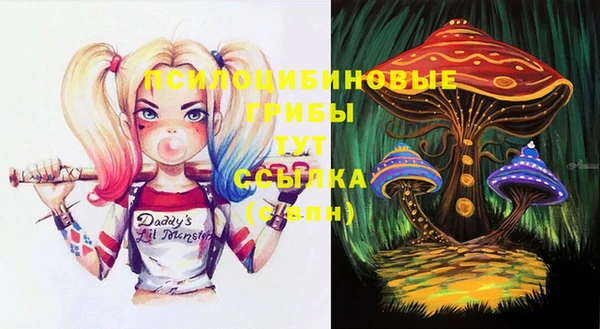 ПСИЛОЦИБИНОВЫЕ ГРИБЫ Алзамай