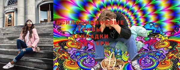 ПСИЛОЦИБИНОВЫЕ ГРИБЫ Аркадак